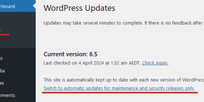 Automatic WordPress update