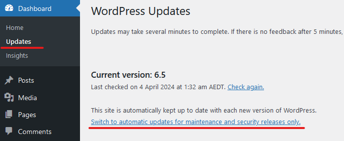 Automatic WordPress update
